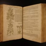 1597 1st John Gerarde Herball Plants English Herbal Illustrated Stirpium Botany