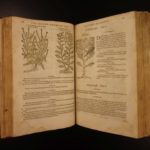 1597 1st John Gerarde Herball Plants English Herbal Illustrated Stirpium Botany