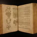 1597 1st John Gerarde Herball Plants English Herbal Illustrated Stirpium Botany