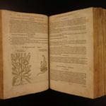 1597 1st John Gerarde Herball Plants English Herbal Illustrated Stirpium Botany