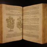 1597 1st John Gerarde Herball Plants English Herbal Illustrated Stirpium Botany