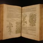 1597 1st John Gerarde Herball Plants English Herbal Illustrated Stirpium Botany