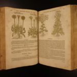 1597 1st John Gerarde Herball Plants English Herbal Illustrated Stirpium Botany