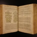 1597 1st John Gerarde Herball Plants English Herbal Illustrated Stirpium Botany