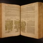 1597 1st John Gerarde Herball Plants English Herbal Illustrated Stirpium Botany