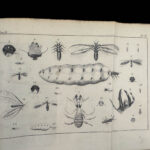 1787 1ed Good Hope Voyages Sparrman Captain Cook MAPS Illustrated 3v SET Africa