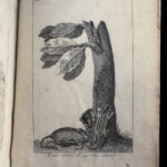 1787 1ed Good Hope Voyages Sparrman Captain Cook MAPS Illustrated 3v SET Africa