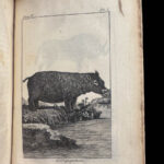 1787 1ed Good Hope Voyages Sparrman Captain Cook MAPS Illustrated 3v SET Africa