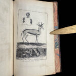 1787 1ed Good Hope Voyages Sparrman Captain Cook MAPS Illustrated 3v SET Africa