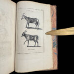 1787 1ed Good Hope Voyages Sparrman Captain Cook MAPS Illustrated 3v SET Africa