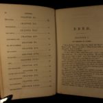 1856 1ed Harriet Beecher Stowe DRED Dismal Swamp Anti Slavery Abolitionist 2v