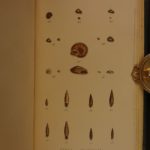 1831 1ed Manual of Shells William Turton Color Illustrated Conchology Seashells