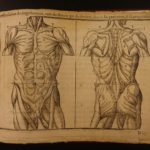 1656 1st ed Art of Portraiture Jean Cousin Sculpting Artistic Anatomy Drawing