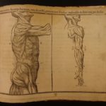 1656 1st ed Art of Portraiture Jean Cousin Sculpting Artistic Anatomy Drawing