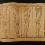 1656 1st ed Art of Portraiture Jean Cousin Sculpting Artistic Anatomy Drawing