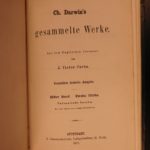 1876 1ed German Darwin Coral Reefs & Volcanic Islands Beagle Evolution Science