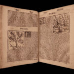 1531 1ed Petrus Crescentiis HERBAL + 1530 Cuba Kreuterbuch Woodcuts Agriculture