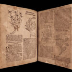1531 1ed Petrus Crescentiis HERBAL + 1530 Cuba Kreuterbuch Woodcuts Agriculture
