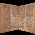 1531 1ed Petrus Crescentiis HERBAL + 1530 Cuba Kreuterbuch Woodcuts Agriculture