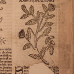 1531 1ed Petrus Crescentiis HERBAL + 1530 Cuba Kreuterbuch Woodcuts Agriculture
