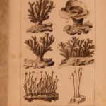 1820 Complete Works Bernardin Saint-Pierre Paul & Virginie French Philosophy 19v