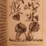 1820 Complete Works Bernardin Saint-Pierre Paul & Virginie French Philosophy 19v