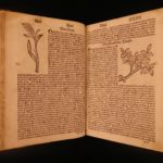 1531 1ed Petrus Crescentiis HERBAL + 1530 Cuba Kreuterbuch Woodcuts Agriculture