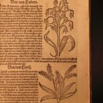 1531 1ed Petrus Crescentiis HERBAL + 1530 Cuba Kreuterbuch Woodcuts Agriculture