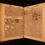 1531 1ed Petrus Crescentiis HERBAL + 1530 Cuba Kreuterbuch Woodcuts Agriculture