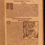 1531 1ed Petrus Crescentiis HERBAL + 1530 Cuba Kreuterbuch Woodcuts Agriculture