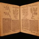 1531 1ed Petrus Crescentiis HERBAL + 1530 Cuba Kreuterbuch Woodcuts Agriculture