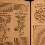 1531 1ed Petrus Crescentiis HERBAL + 1530 Cuba Kreuterbuch Woodcuts Agriculture