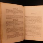 1856 1st Powers of Europe Fall of Sebastopol Crimean War Illustrated Huge MAP