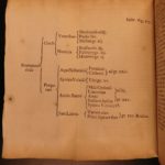 1702 1ed Pechlin Dutch Medicine & Smoking Tobacco Digestion Anatomy Illustrated