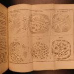 1764 Baker Microscope SCIENCE Chemistry Biology Experiments Salt Crystals RARE