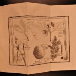 1797 EXQUISITE Bernardin Saint-Pierre Etudes Nature Illustrated Botany Plants