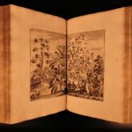1680 Dapper ASIA Turkey Arabia Assyria MAPS Babylon Persia Botany Iraq Nineveh