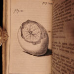 1674 William Harvey Medicine Generation Childbirth Embryology OBGYN Illustrated