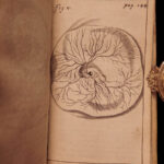 1674 William Harvey Medicine Generation Childbirth Embryology OBGYN Illustrated