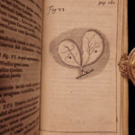 1674 William Harvey Medicine Generation Childbirth Embryology OBGYN Illustrated