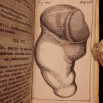 1674 William Harvey Medicine Generation Childbirth Embryology OBGYN Illustrated