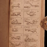 1657 Clocks Watches Gnomonics Horology Navigation Time Sundials Constellations