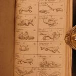 1657 Clocks Watches Gnomonics Horology Navigation Time Sundials Constellations