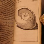 1674 William Harvey Medicine Generation Childbirth Embryology OBGYN Illustrated