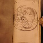 1674 William Harvey Medicine Generation Childbirth Embryology OBGYN Illustrated