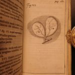 1674 William Harvey Medicine Generation Childbirth Embryology OBGYN Illustrated