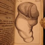 1674 William Harvey Medicine Generation Childbirth Embryology OBGYN Illustrated