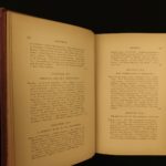 1880 1ed Caribbees & Antilles Illustrated Natural Science BIRDS Caribbean Ober