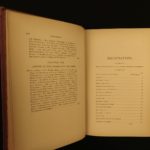 1880 1ed Caribbees & Antilles Illustrated Natural Science BIRDS Caribbean Ober
