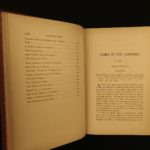 1880 1ed Caribbees & Antilles Illustrated Natural Science BIRDS Caribbean Ober